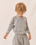 The Little College Sweatshirt. Solid -- Varsity Grey